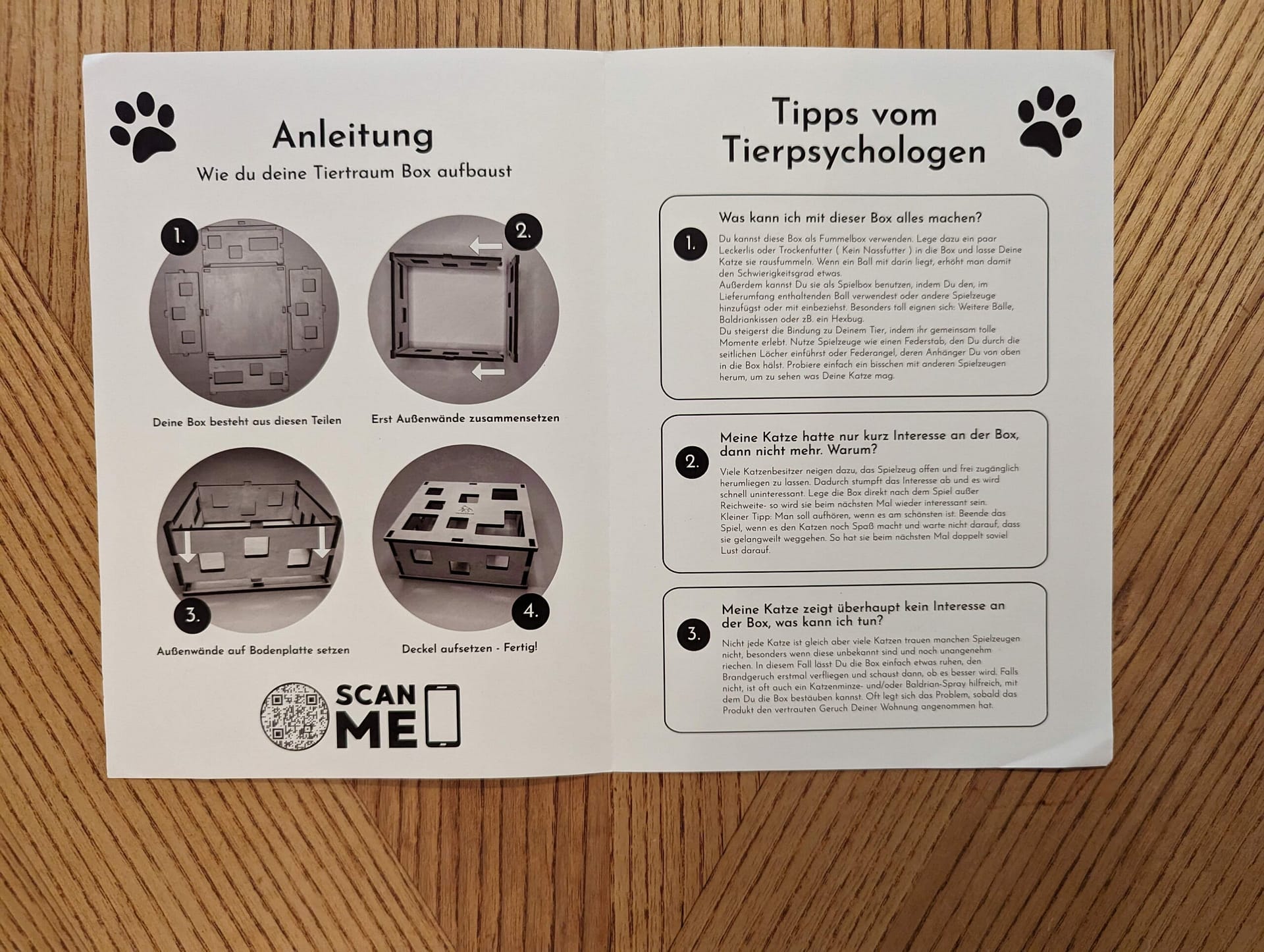 Interaktives Katzenspielzeug im Test von Tiertraum
